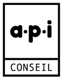 A.P.I. Conseil Logo