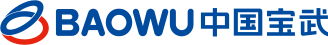 Baoshan Iron & Steel Logo