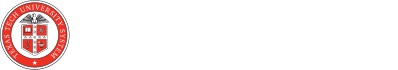 Texas Tech University System Logo