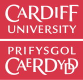University College Cardiff Consultants Logo