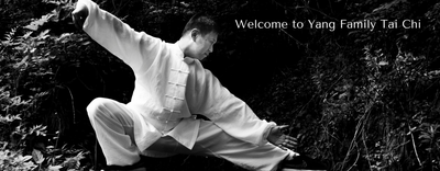 Yang, Tai-Her Logo